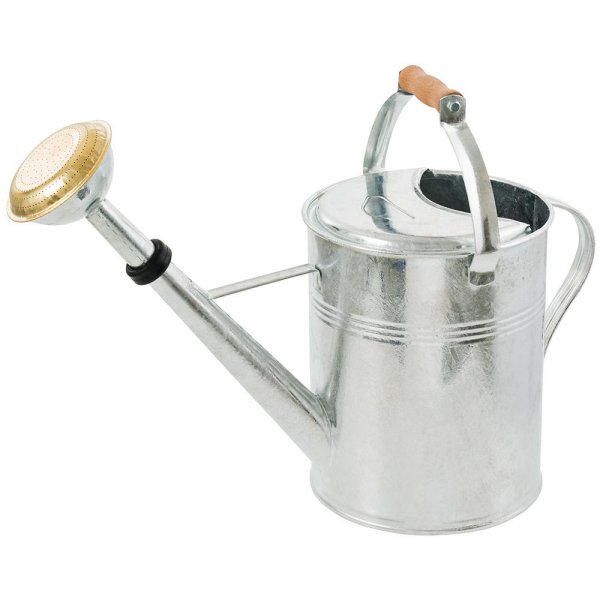 Round Watering Can with Wooden Handle, 9 l, Galvanised