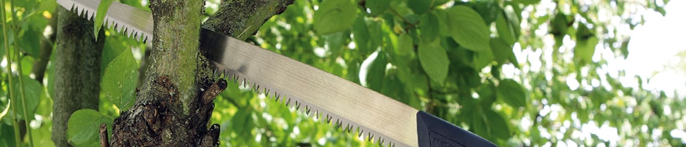 Pruning saws