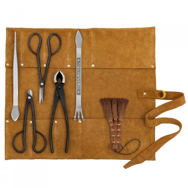 DICTUM Bonsai Basic Set, 6-Piece