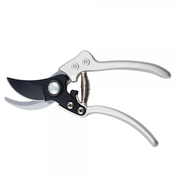 Hattori Pruning and Rose Shears