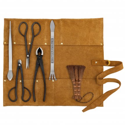 DICTUM Bonsai Basic Set, 6-Piece