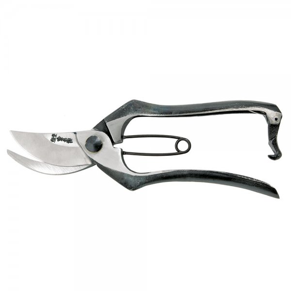 Pruning and Vine Shears
